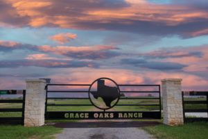 Texas themed metal gate with oversized Texas shape in the center pairs with two stone columns and solar powered operator