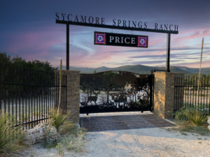 Grand collection gate with metal art of long horn and deer wildlife scene set with two stone columns for a sliding gate and custom overhead with metal lettering and stain glass with overhead sign.
