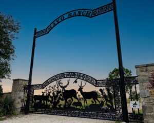 Ranch entrance with stone columns and metal art in the center of a swing gate with deer throughout the gate.