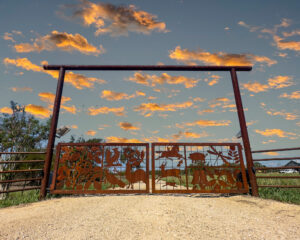 Patina gate with pictures of animals throughout the gate.