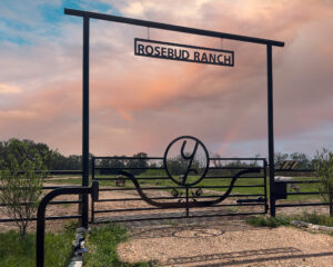 Ranch Entrance with metal roses out of metal with overhead saying "rosebud ranch"