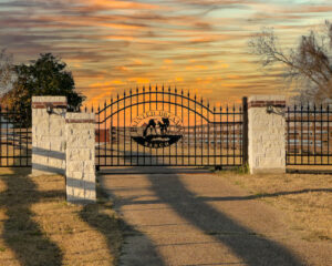 Custom gate with the center having a "painted horse" and arch on top of the gate.