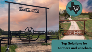 Ranch gate with longhorns behind gate and a farm gate located in front of chicken farm.