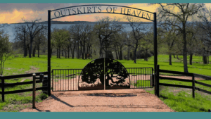 Driveway Gates and Entrances